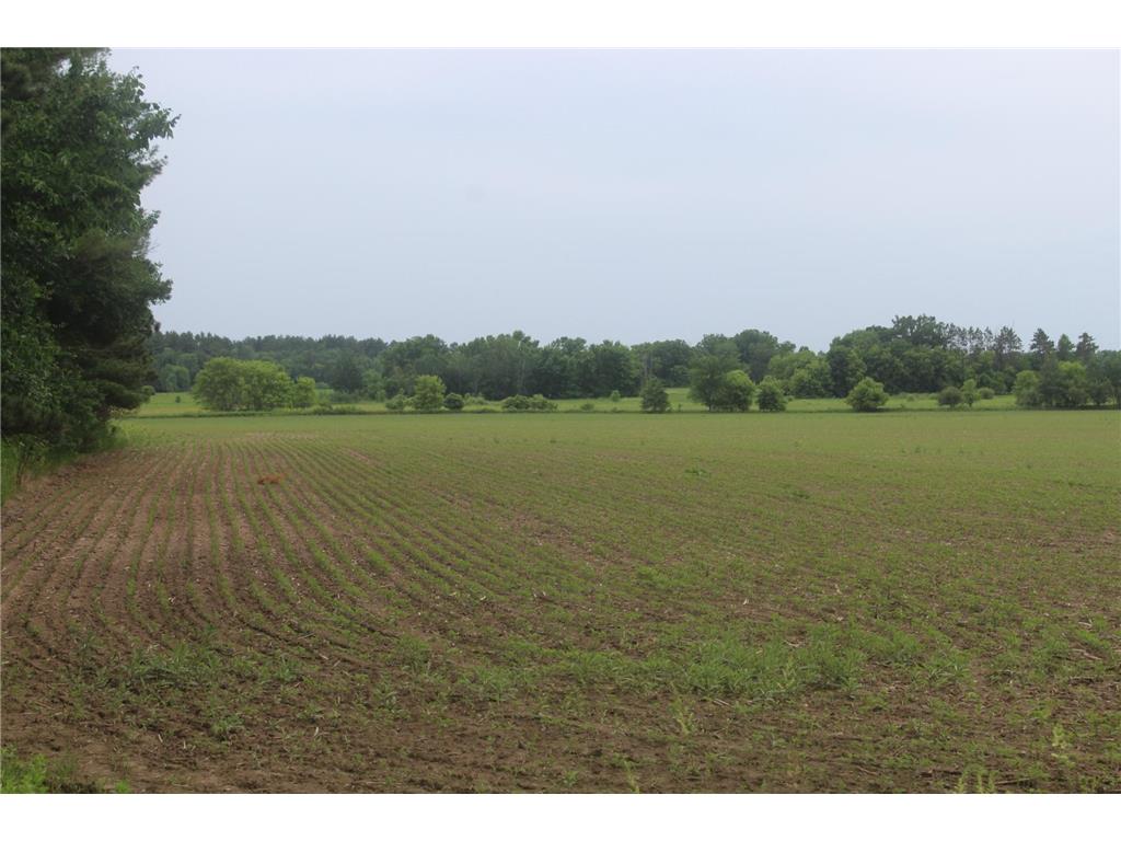 TBD-2 120th Avenue Ogilvie MN 56358 7092201 image1