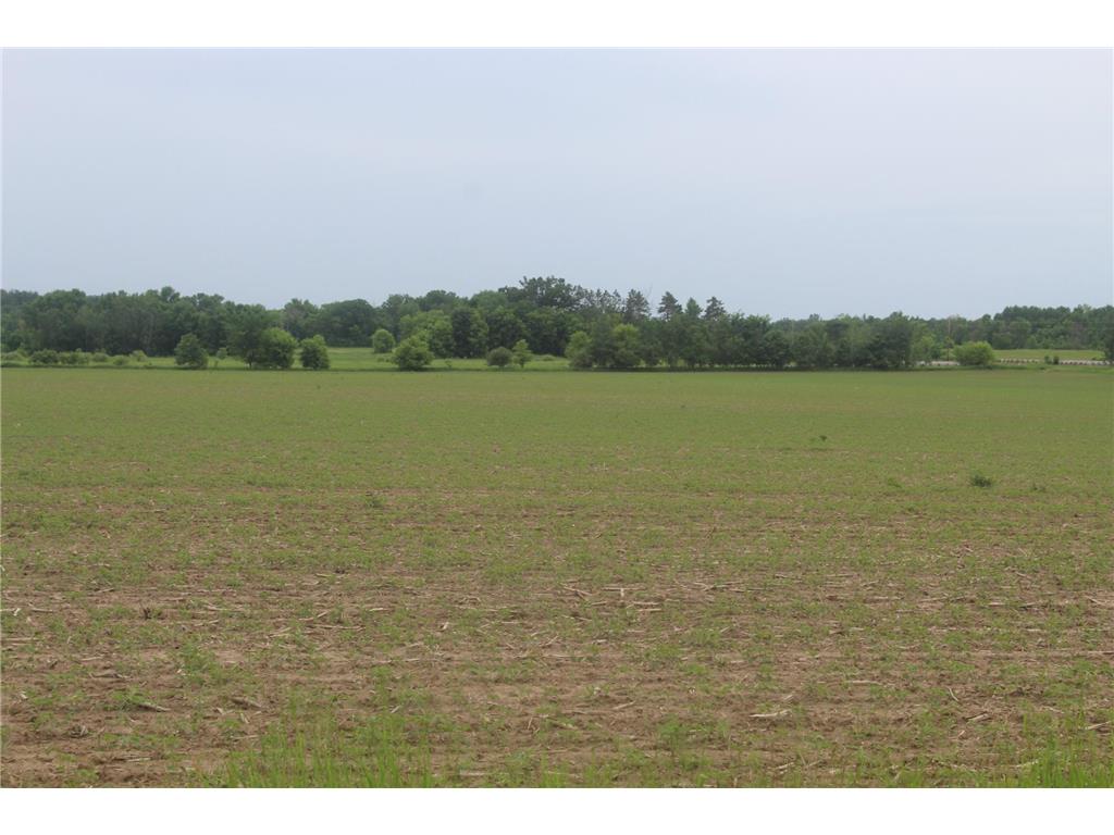 TBD-2 120th Avenue Ogilvie MN 56358 7092201 image2