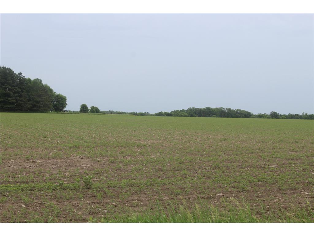 TBD-2 120th Avenue Ogilvie MN 56358 7092201 image3
