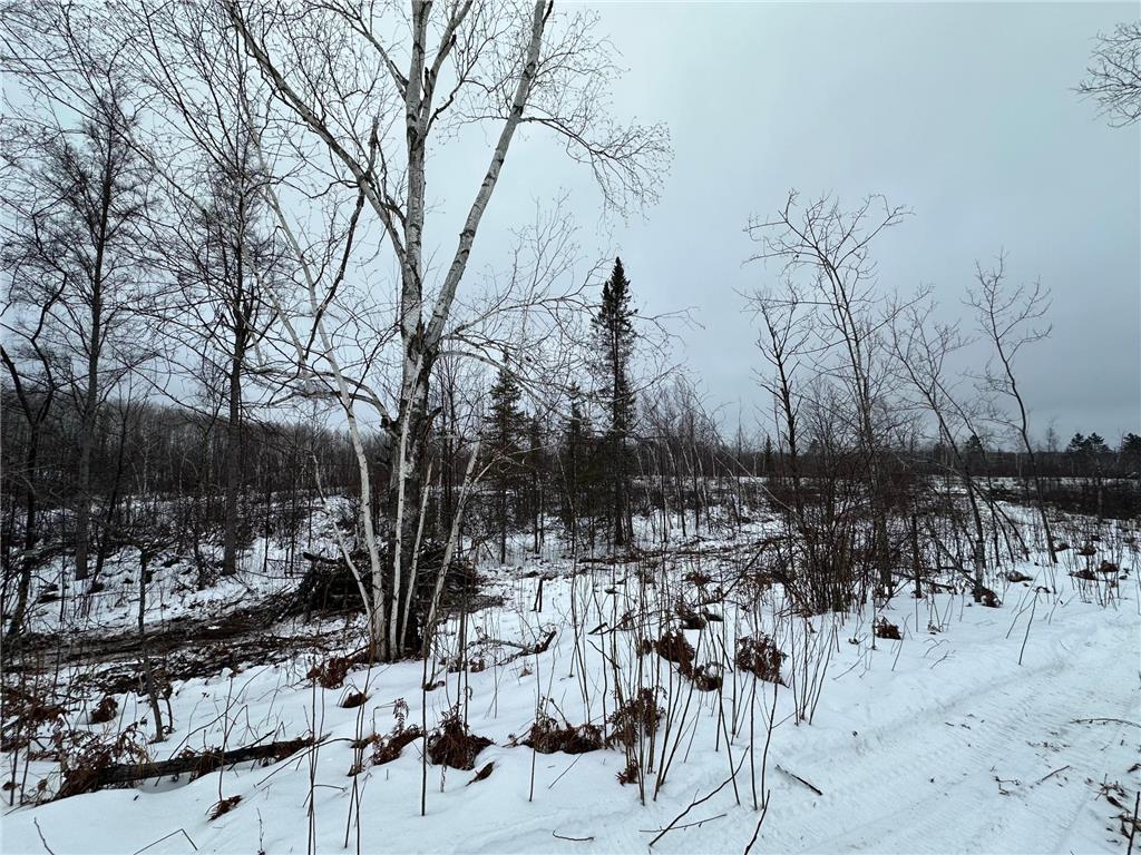 TBD #2 Koecher Road Kerrick MN 55756 7002696 image11