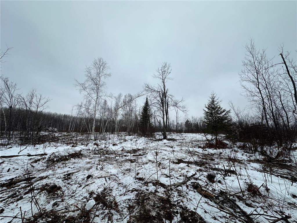 TBD #2 Koecher Road Kerrick MN 55756 7002696 image7