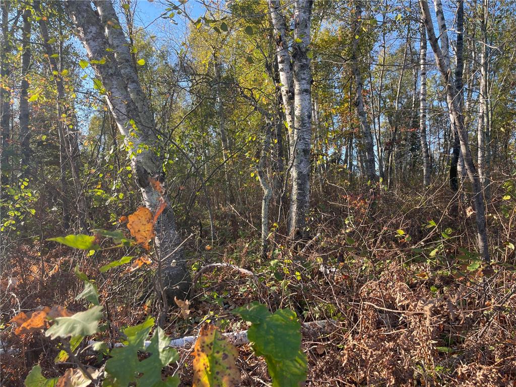 TBD-2 Oak Leaf Road Kerrick MN 55756 6810419 image1