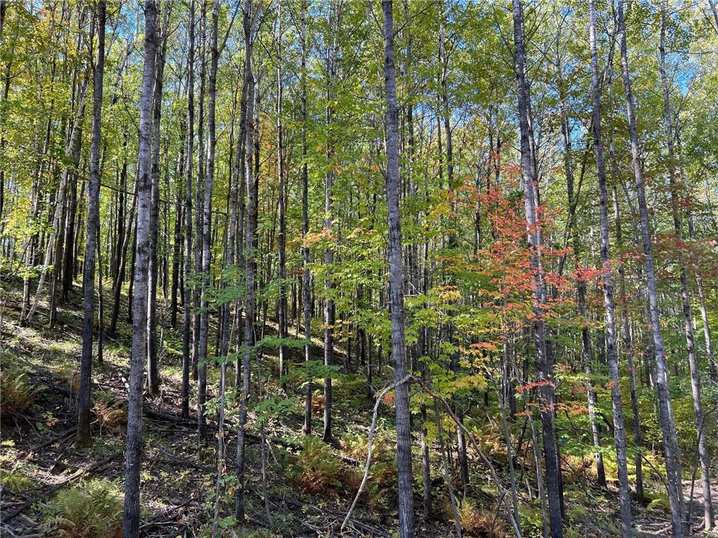 TBD 1 Ridgeway Lane Walker MN 56484 6266961 image1