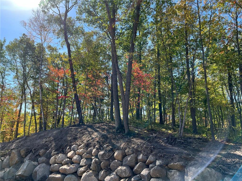 TBD 2 Ridgeway Lane Walker MN 56484 6536182 image1