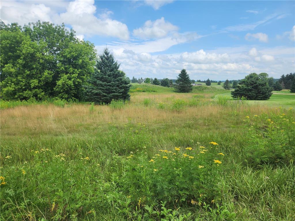 TBD 20 1/2 Street Rice Lake WI 54868 6759515 image1
