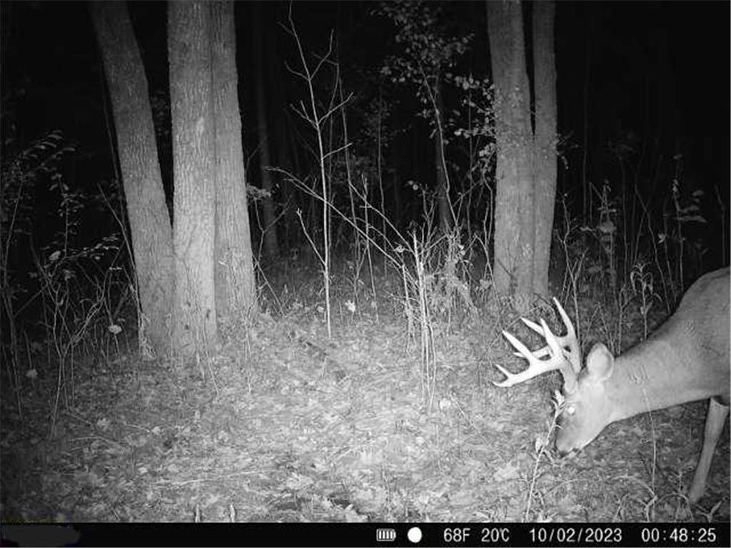 TBD-20.16AC 220th Street Hayland Twp MN 56353 6449481 image1