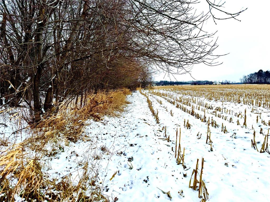 TBD-20.4AC 80th Street Bogus Brook Twp MN 56353 6486928 image1