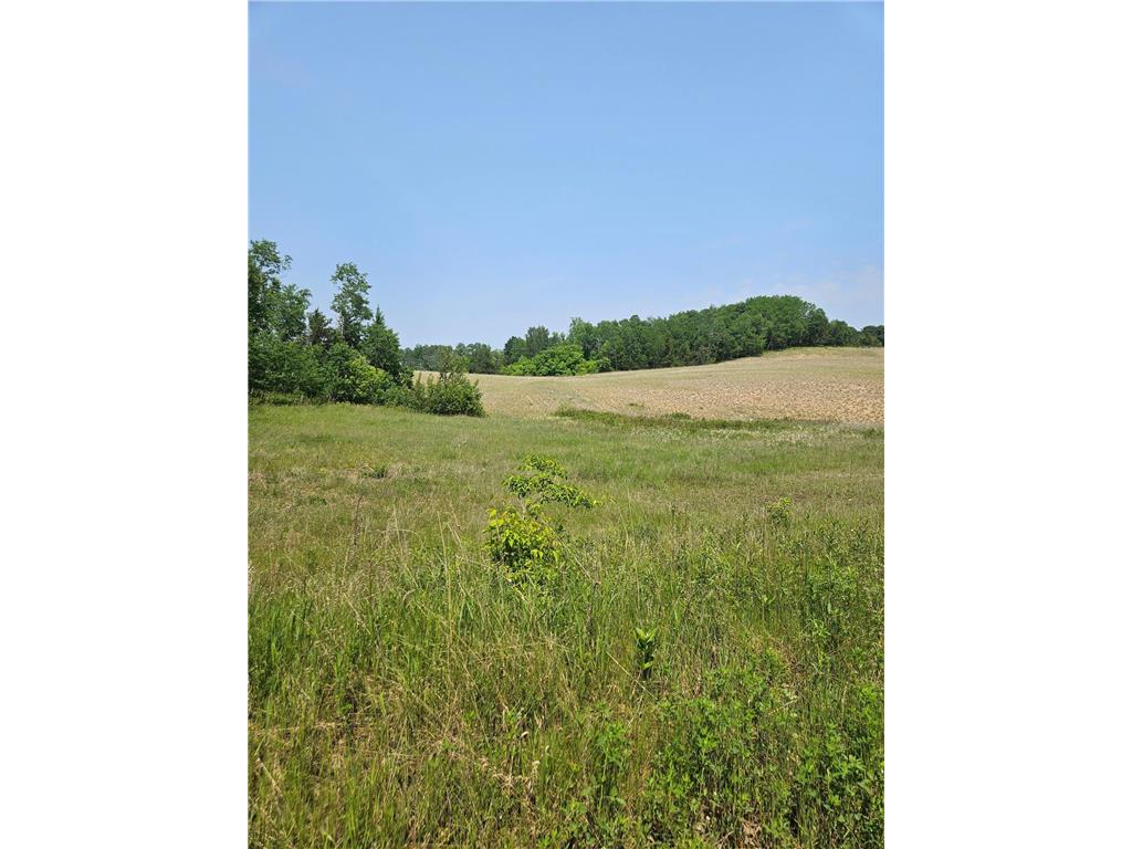 TBD 20 Acres Ranchette Drive Breezy Point MN 56472 7044610 image4