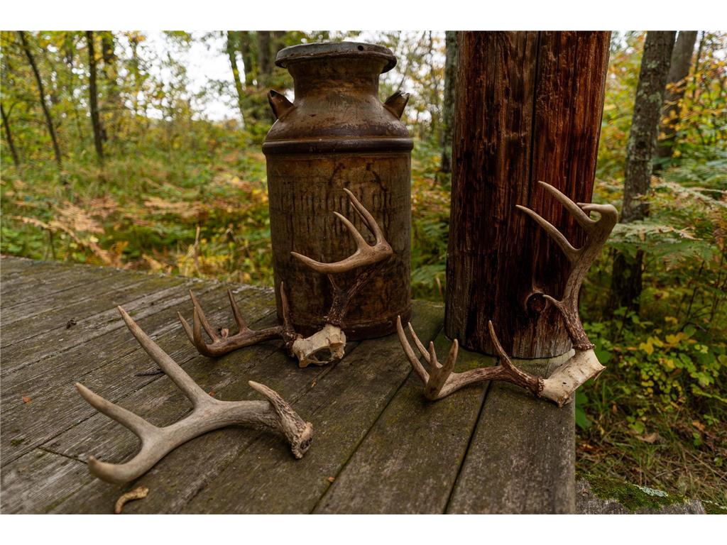 TBD-200AC 250th Avenue Ann Lake Twp MN 55051 6790405 image1