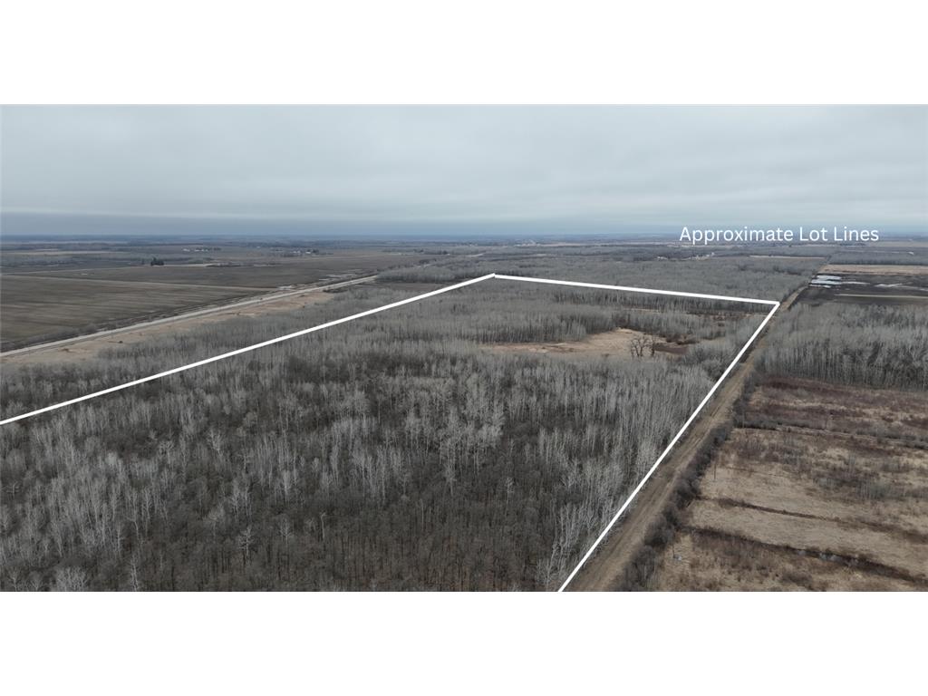 TBD 200th Street SE Plummer MN 56748 7056342 image1