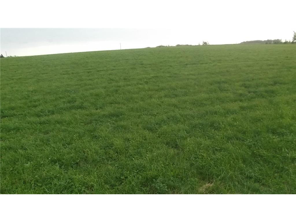 TBD 201st Avenue Concord Twp MN 55985 6775670 image10