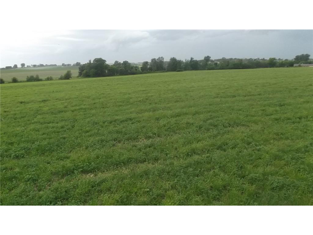 TBD 201st Avenue Concord Twp MN 55985 6775670 image9