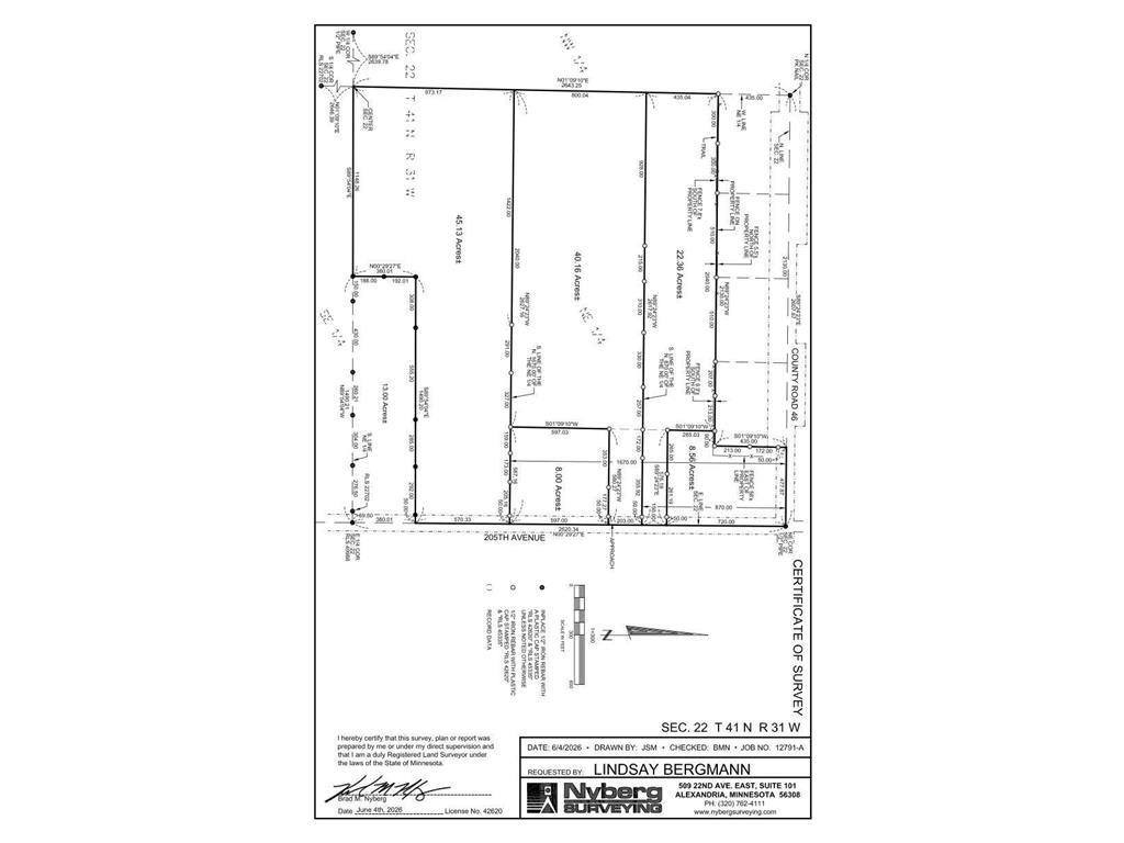 TBD 205th Avenue Belle Prairie Twp MN 56345 7094676 image24