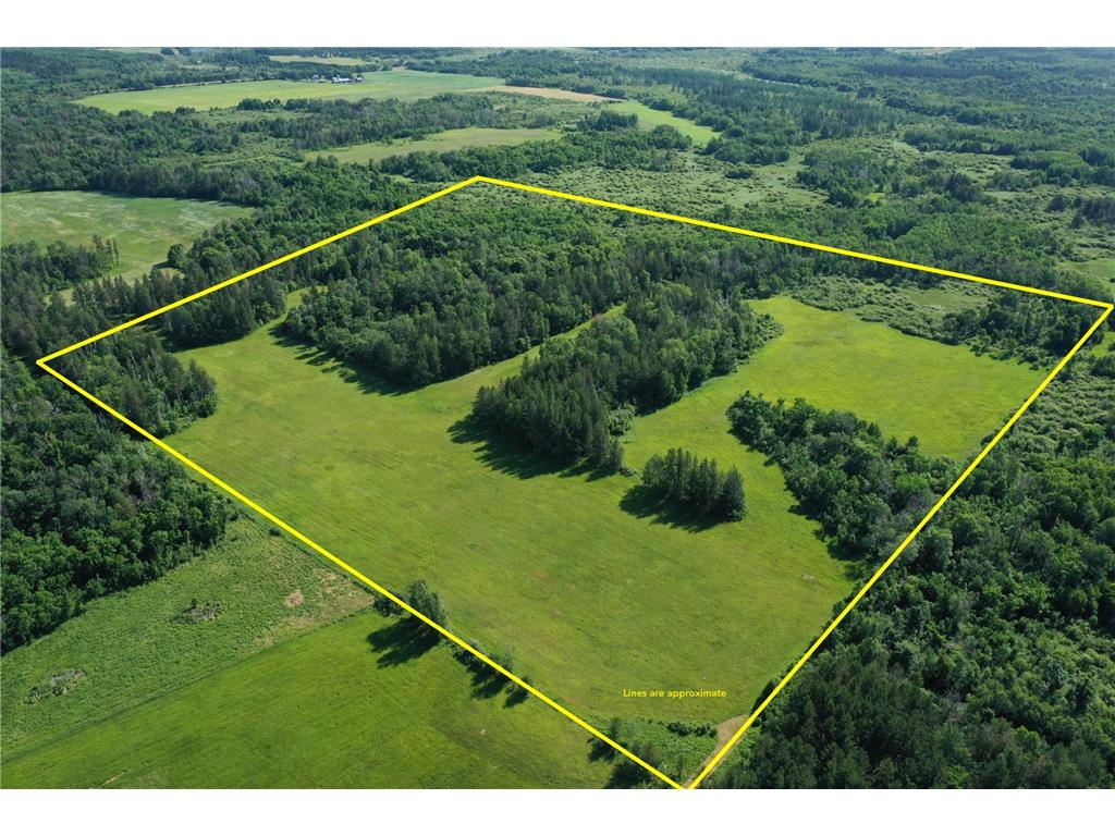 TBD 205th Avenue Sebeka MN 56477 7102534 image1