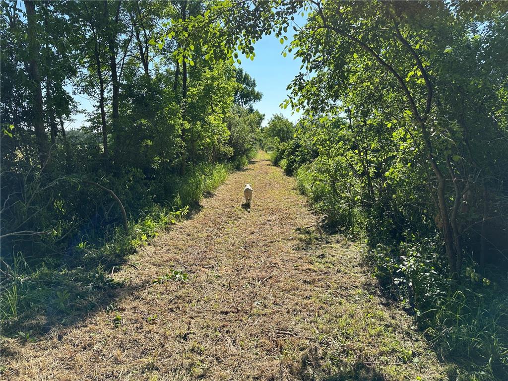 TBD 205th Avenue Sebeka MN 56477 7102534 image12