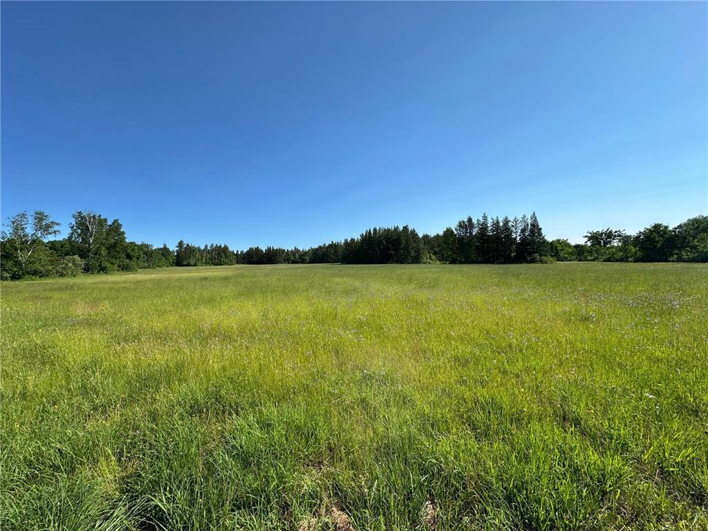 TBD 205th Avenue Sebeka MN 56477 7102534 image13