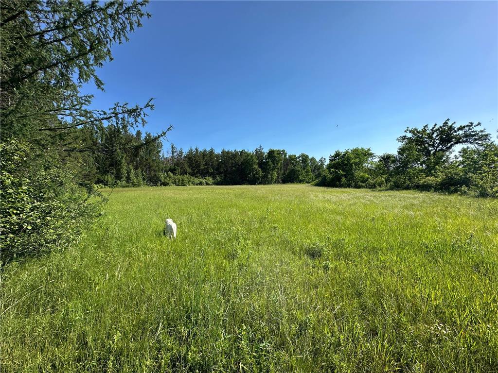 TBD 205th Avenue Sebeka MN 56477 7102534 image14