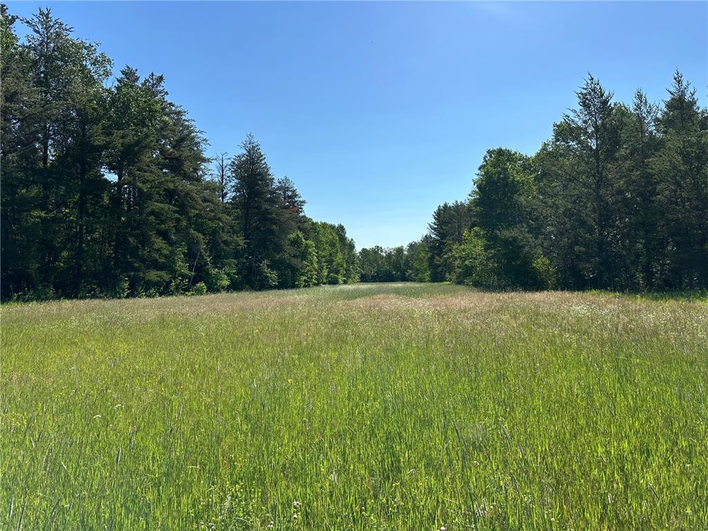 TBD 205th Avenue Sebeka MN 56477 7102534 image16