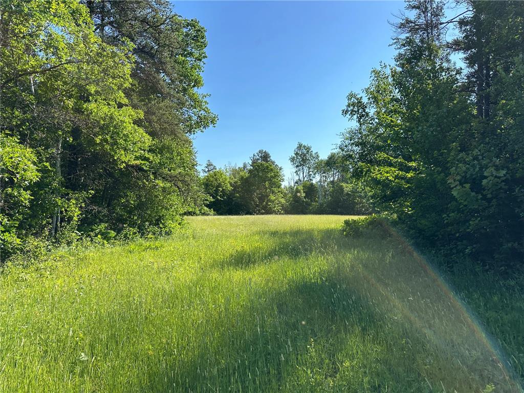 TBD 205th Avenue Sebeka MN 56477 7102534 image18