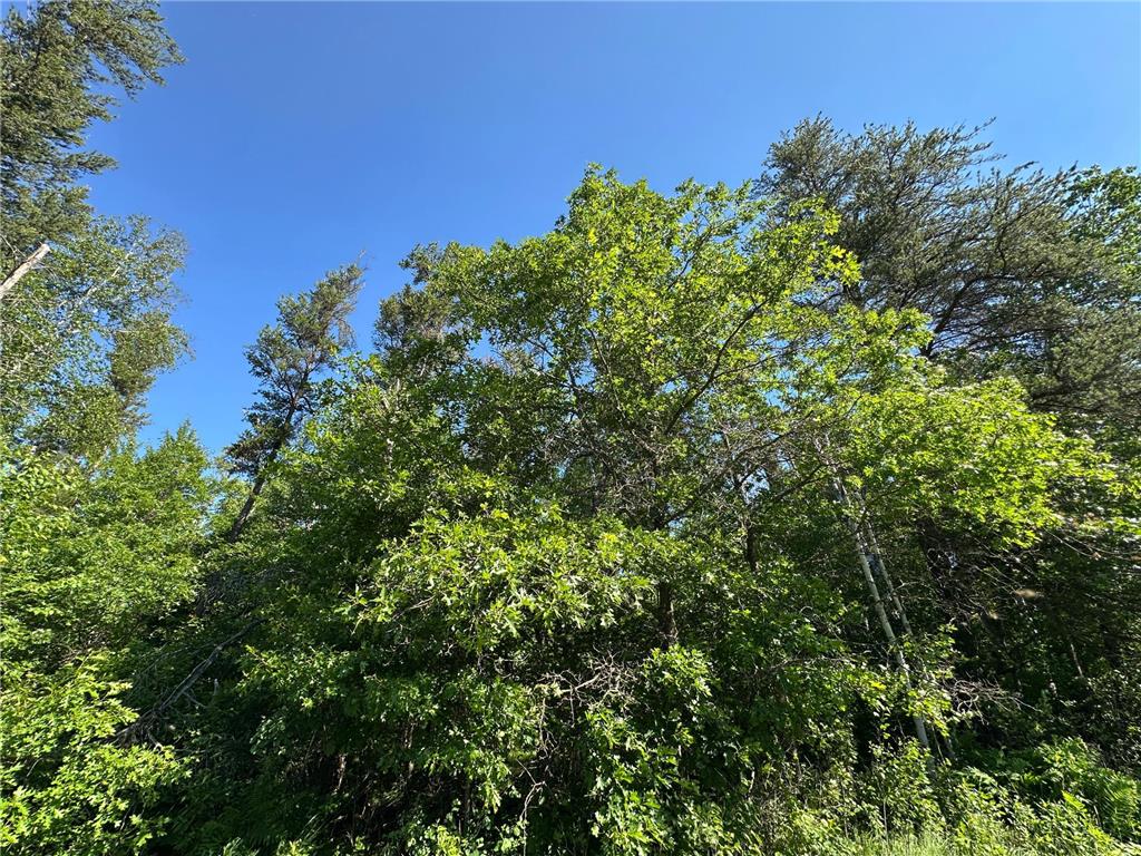 TBD 205th Avenue Sebeka MN 56477 7102534 image19