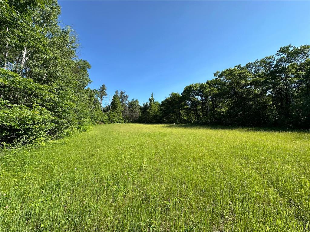 TBD 205th Avenue Sebeka MN 56477 7102534 image21