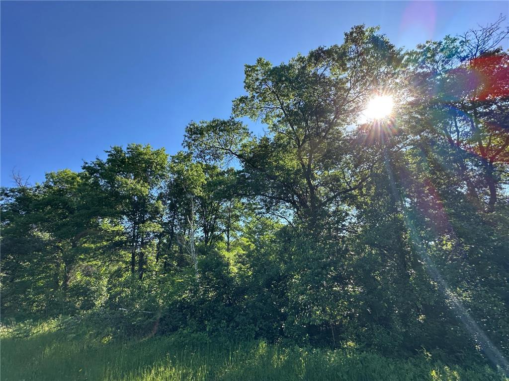 TBD 205th Avenue Sebeka MN 56477 7102534 image22