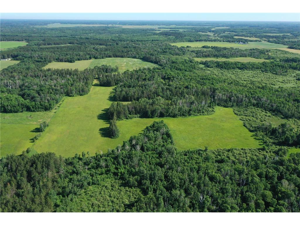 TBD 205th Avenue Sebeka MN 56477 7102534 image4