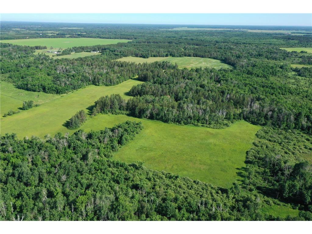 TBD 205th Avenue Sebeka MN 56477 7102534 image5