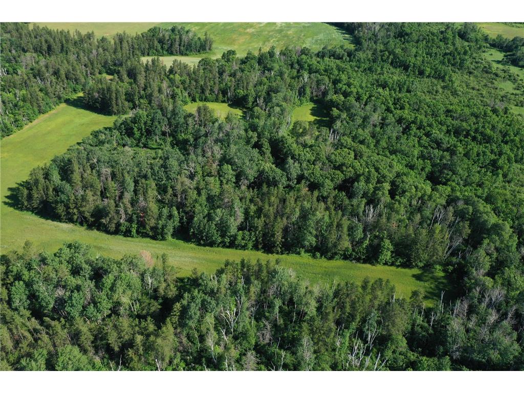 TBD 205th Avenue Sebeka MN 56477 7102534 image6