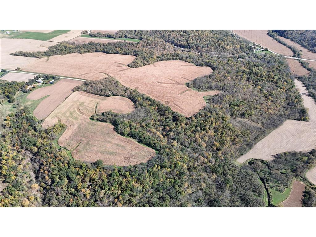 TBD 207th Avenue Jordan Twp MN 55922 7039399 image1