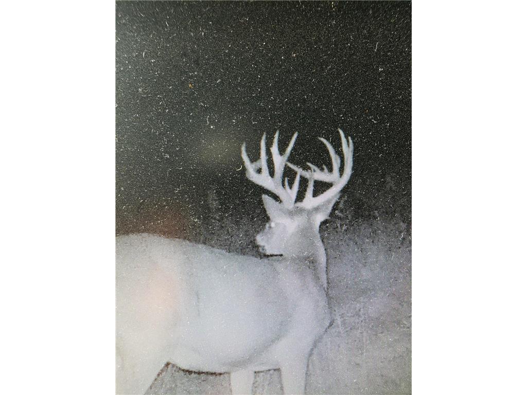 TBD 208th Avenue Erhard MN 56534 6753591 image1