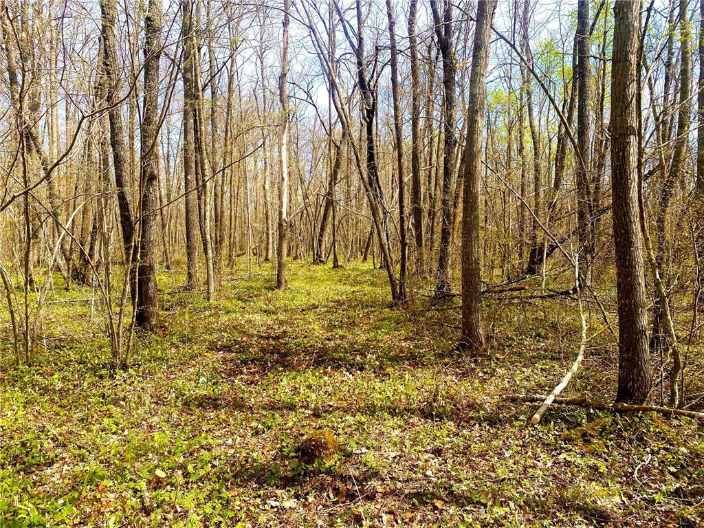 TBD-20AC 320th Street Lewis Twp MN 56342 6365724 image1