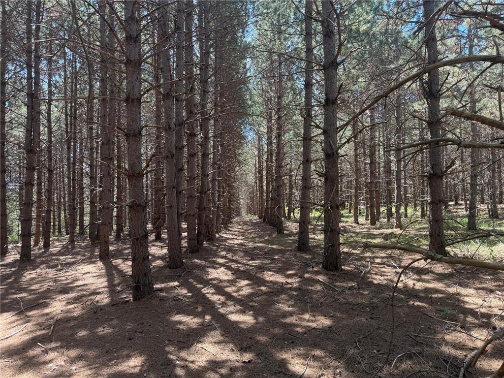 TBD-20AC Sleepy Hollow Road Brainerd MN 56401 7106540 image12