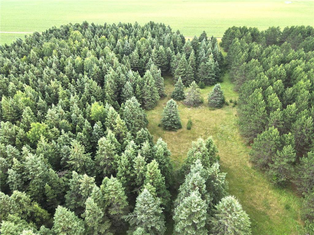 TBD-20AC Sleepy Hollow Road Brainerd MN 56401 7106540 image17