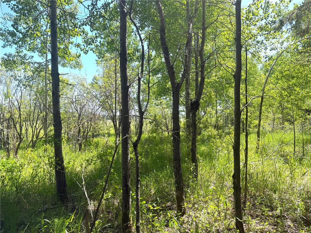 TBD-20AC Sleepy Hollow Road Brainerd MN 56401 7106540 image18