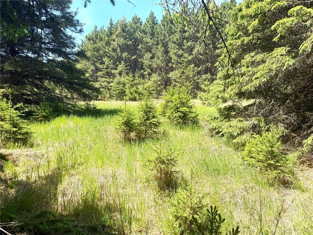 TBD-20AC Sleepy Hollow Road Brainerd MN 56401 7106540 image22