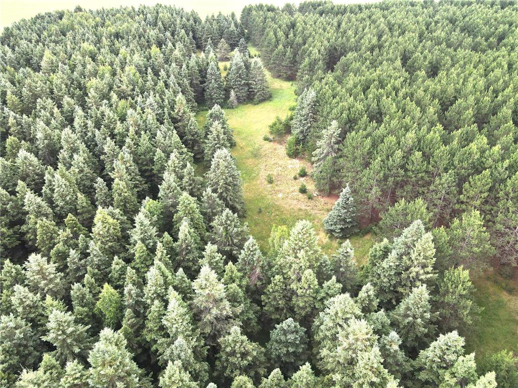TBD-20AC Sleepy Hollow Road Brainerd MN 56401 7106540 image23