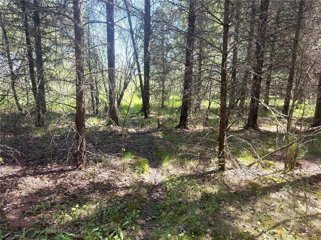 TBD-20AC Sleepy Hollow Road Brainerd MN 56401 7106540 image4