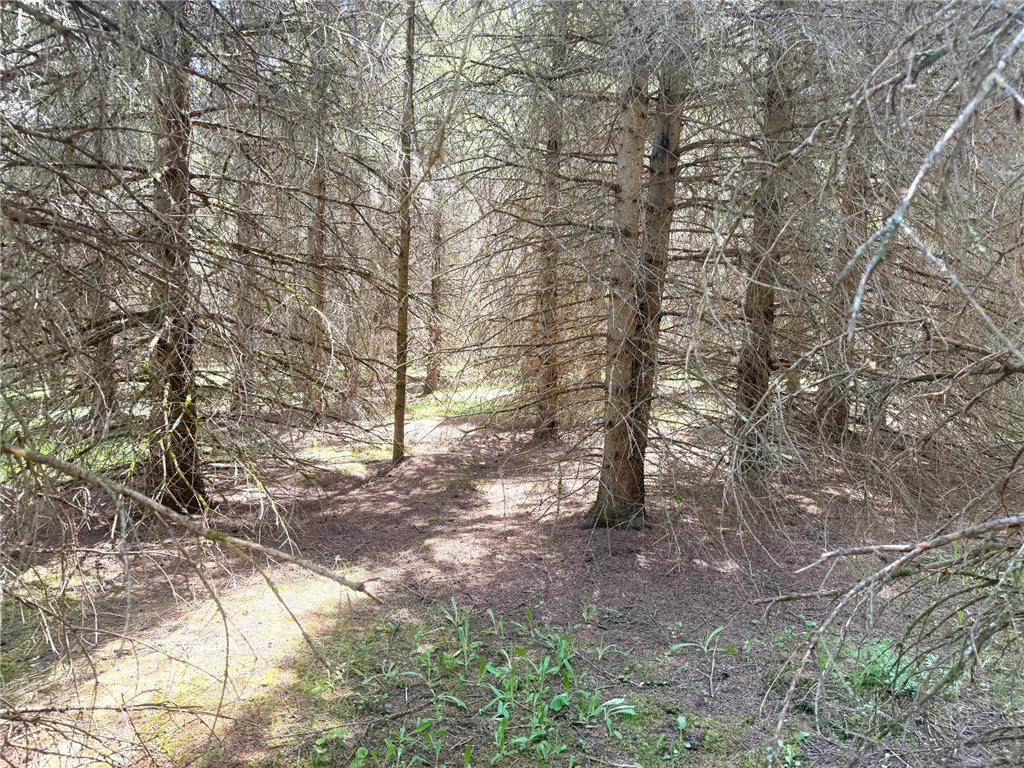 TBD-20AC Sleepy Hollow Road Brainerd MN 56401 7106540 image6