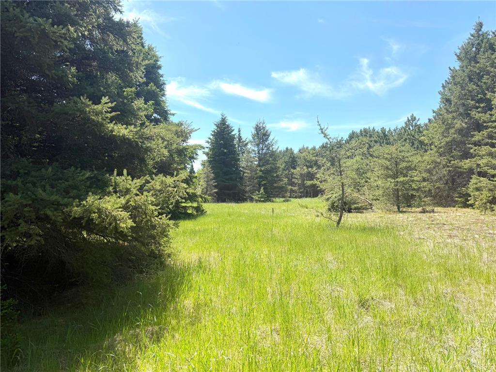TBD-20AC Sleepy Hollow Road Brainerd MN 56401 7106540 image8