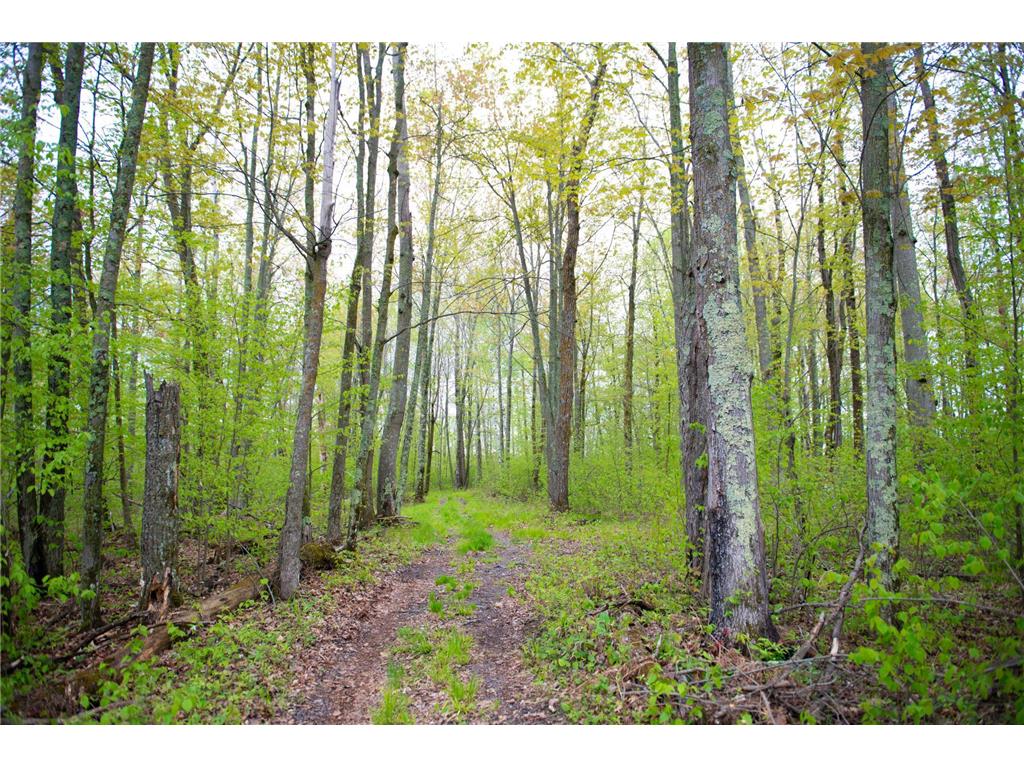 TBD-20AC Velvet Street Kroschel Twp MN 55072 7086612 image12