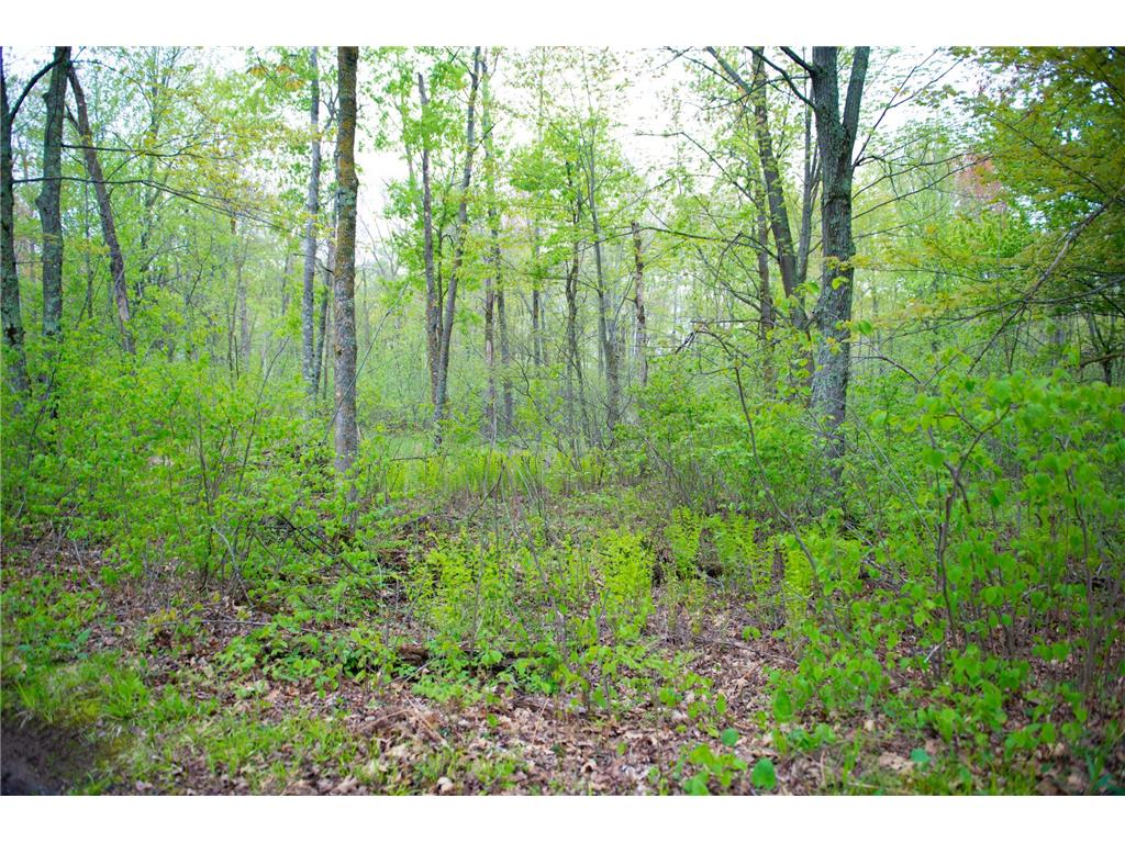TBD-20AC Velvet Street Kroschel Twp MN 55072 7086612 image14