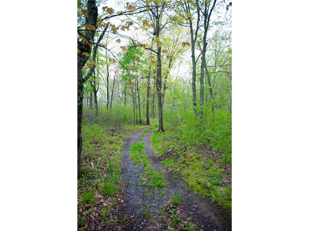 TBD-20AC Velvet Street Kroschel Twp MN 55072 7086612 image16