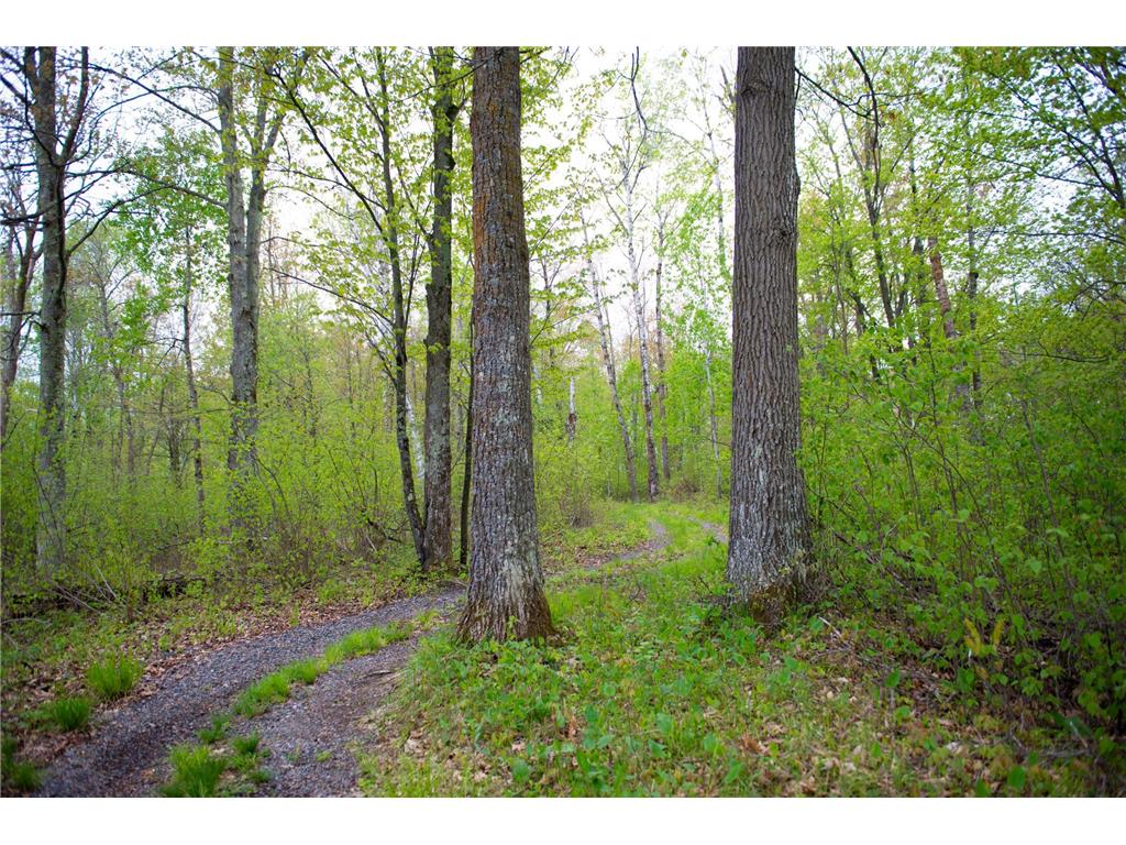 TBD-20AC Velvet Street Kroschel Twp MN 55072 7086612 image18