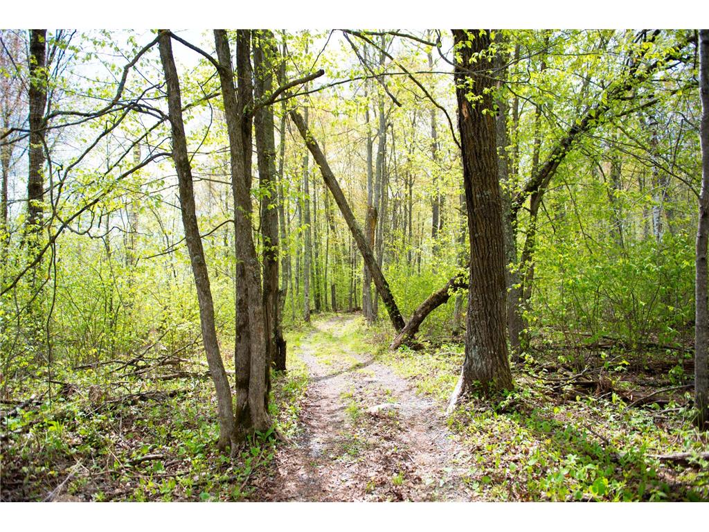 TBD-20AC Velvet Street Kroschel Twp MN 55072 7086612 image2