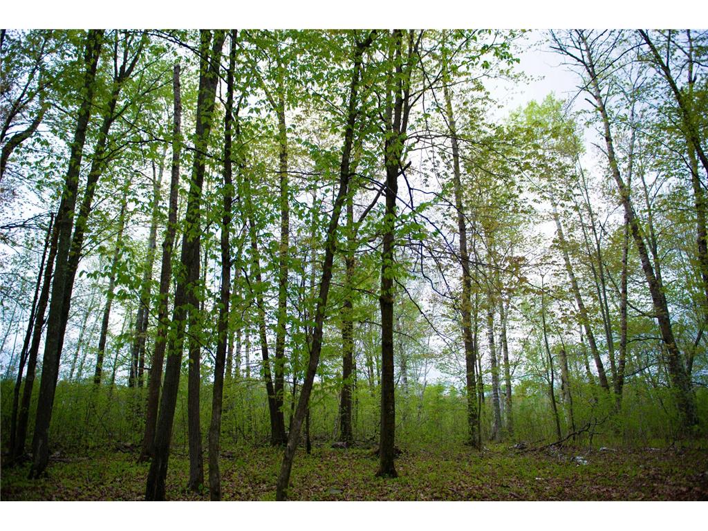TBD-20AC Velvet Street Kroschel Twp MN 55072 7086612 image20