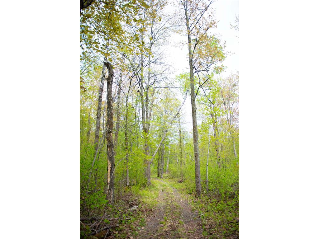 TBD-20AC Velvet Street Kroschel Twp MN 55072 7086612 image30