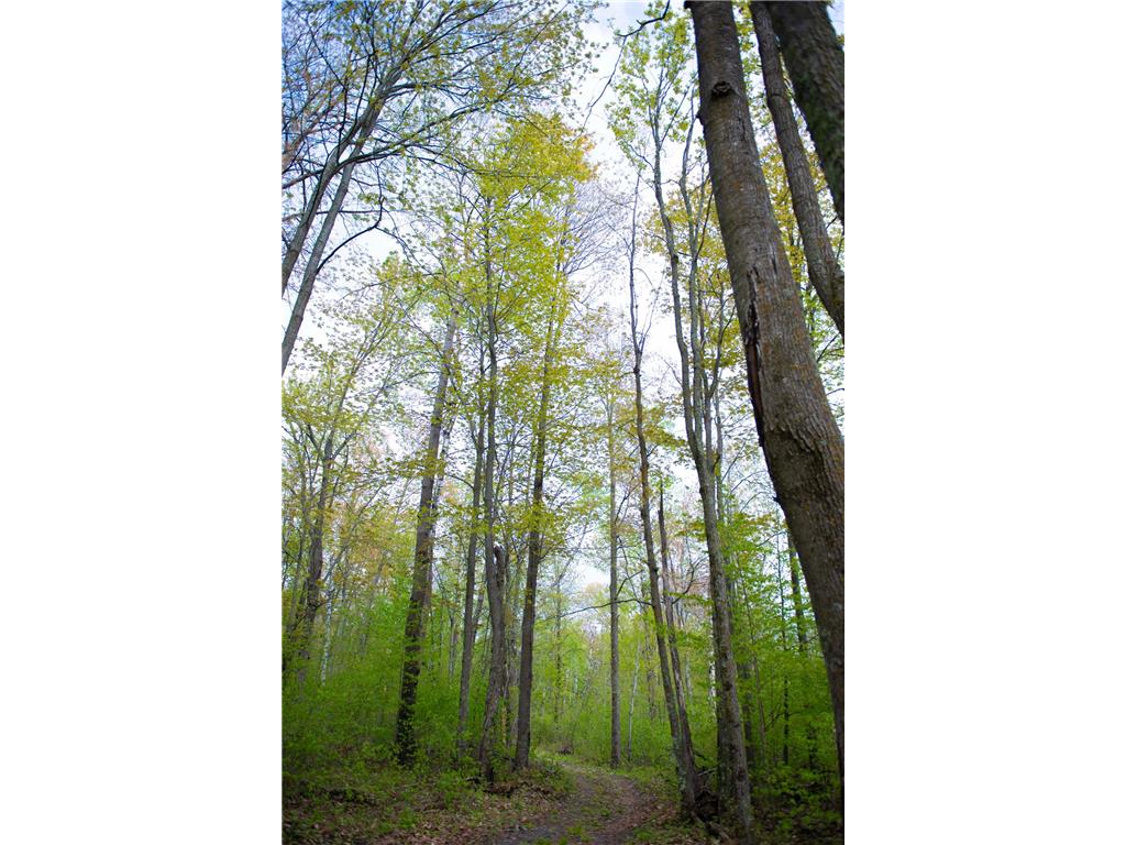 TBD-20AC Velvet Street Kroschel Twp MN 55072 7086612 image32