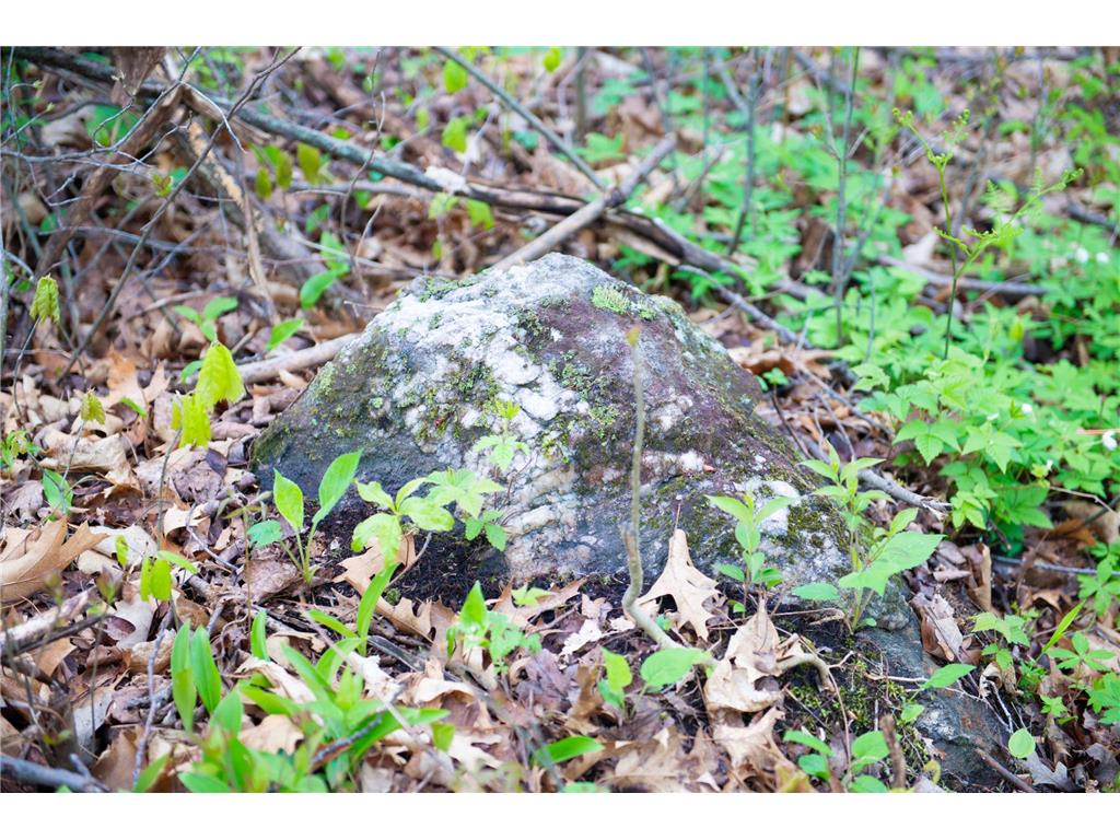 TBD-20AC Velvet Street Kroschel Twp MN 55072 7086612 image36