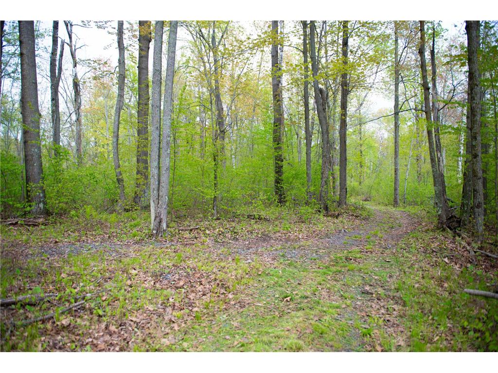 TBD-20AC Velvet Street Kroschel Twp MN 55072 7086612 image38